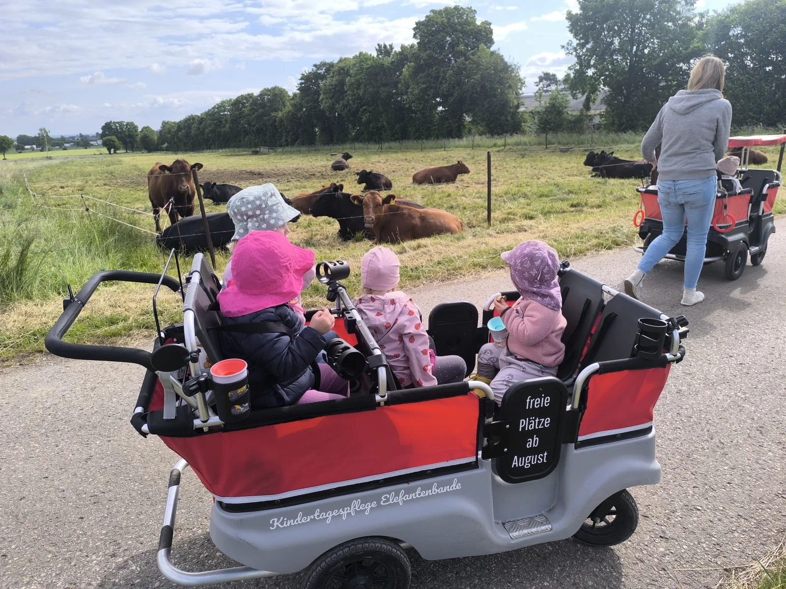Elefantenbande Kindertagespflege