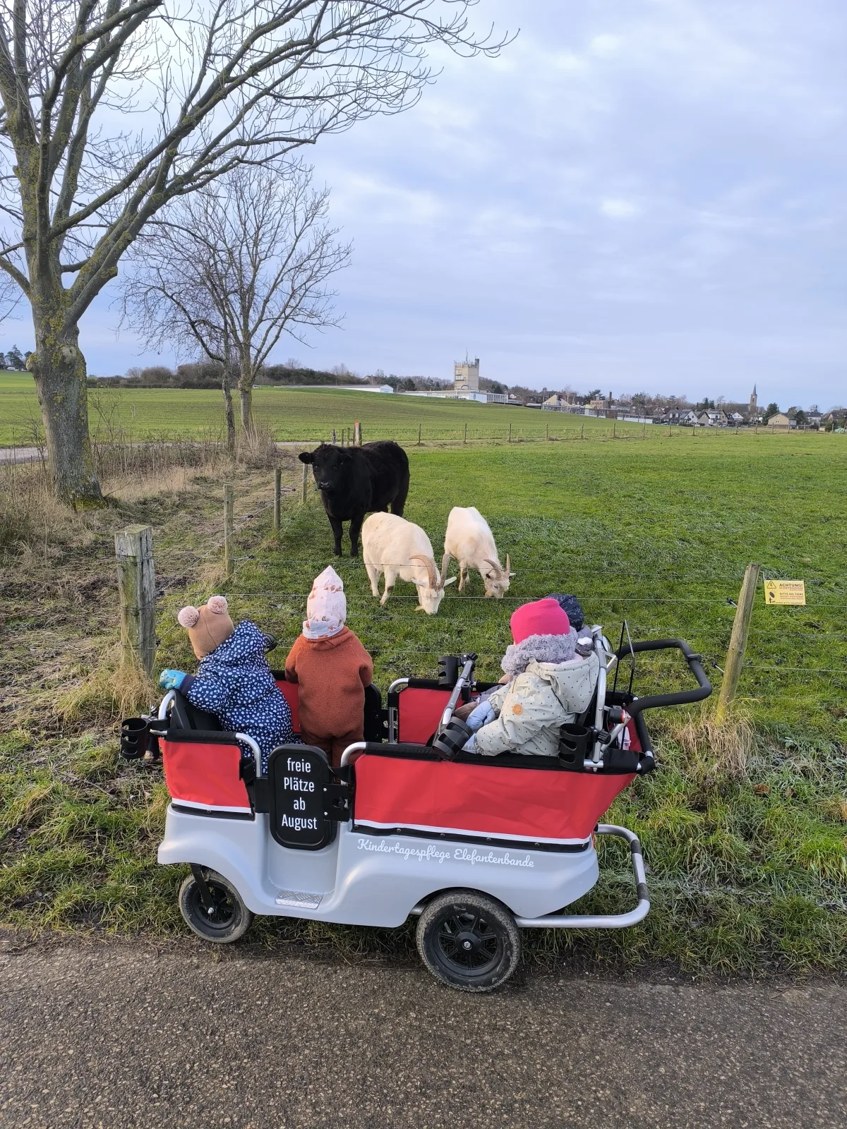 Elefantenbande Kindertagespflege