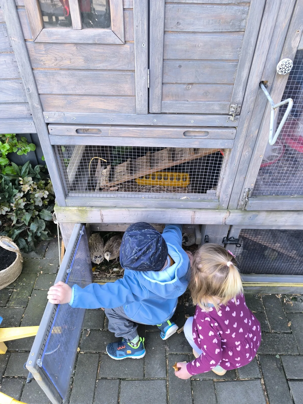Elefantenbande Kindertagespflege