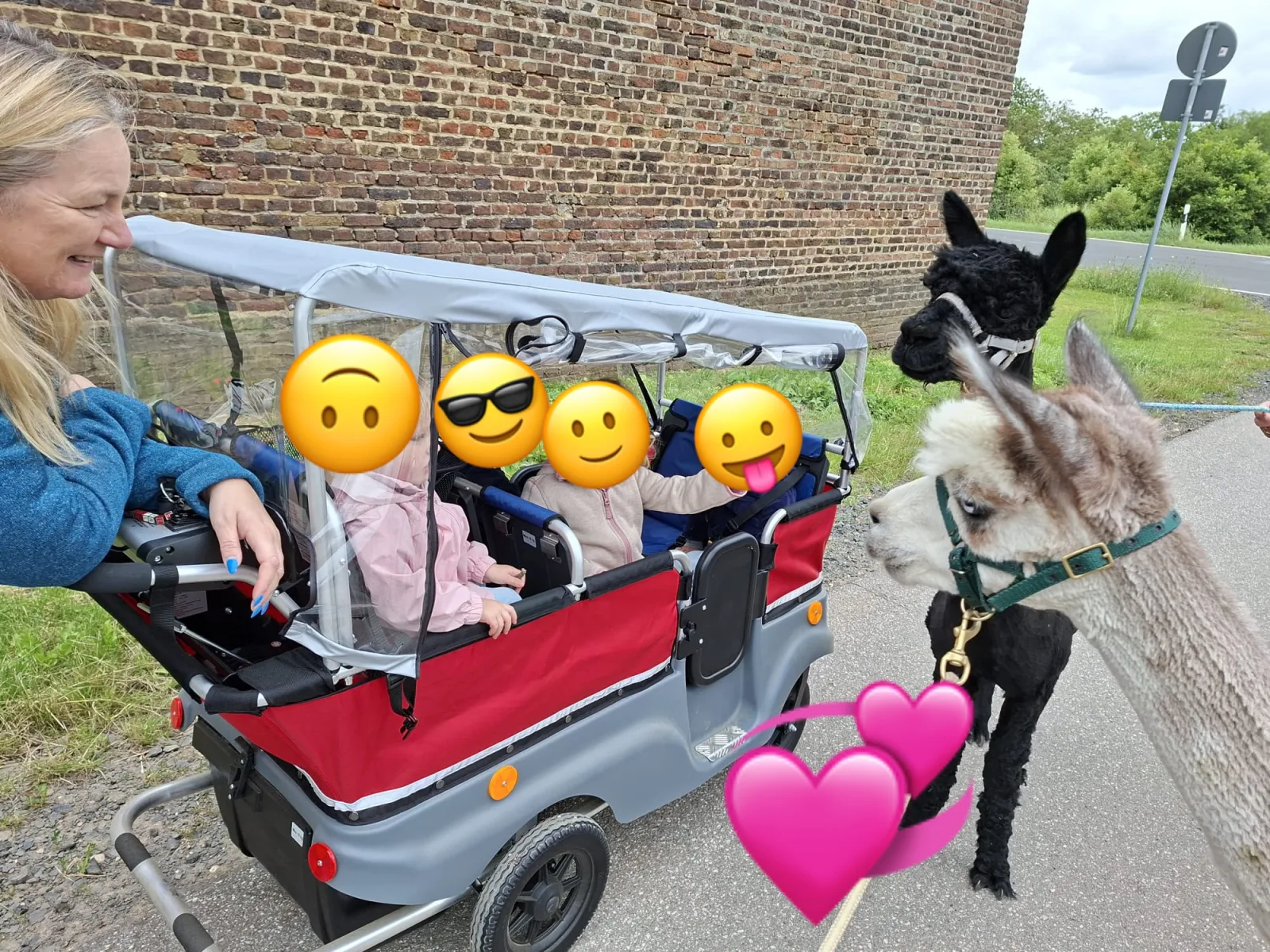 Alpakastrolche