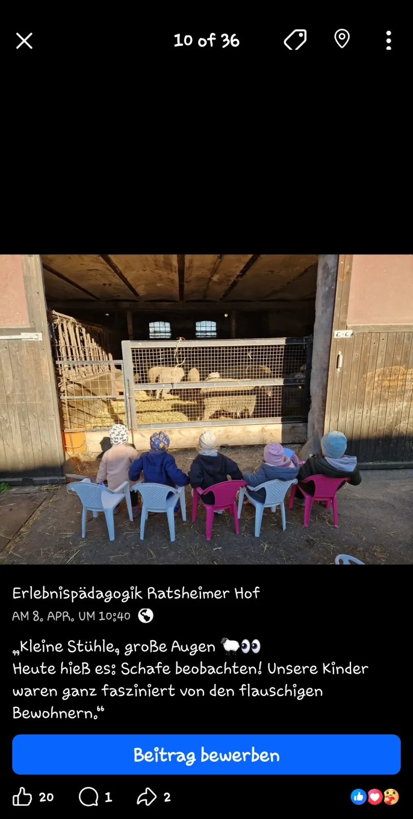 Ratsheimer Eulennest